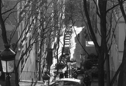 IMG_8325