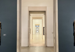 IMG 0205
